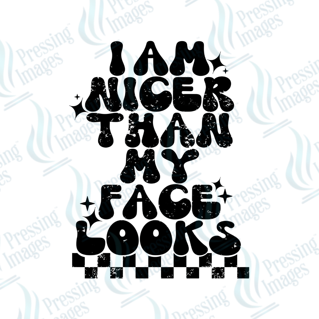 UVD 2744 I Am Nicer Than My Face Looks - Pressing Images