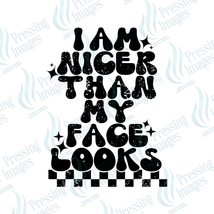 UVD 2744 I Am Nicer Than My Face Looks - Pressing Images
