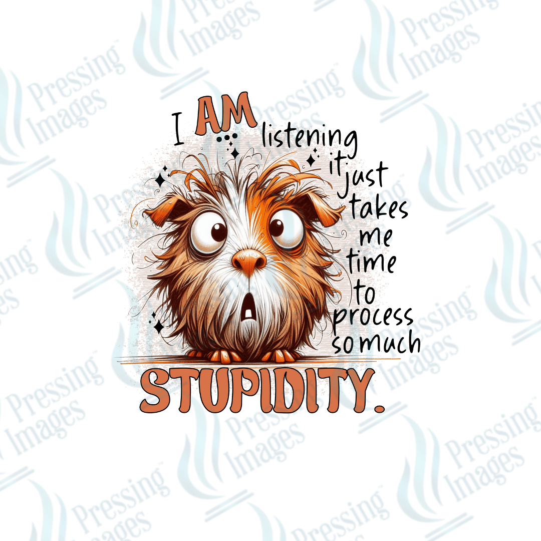 UVD 2755 I Am Listening - Pressing Images