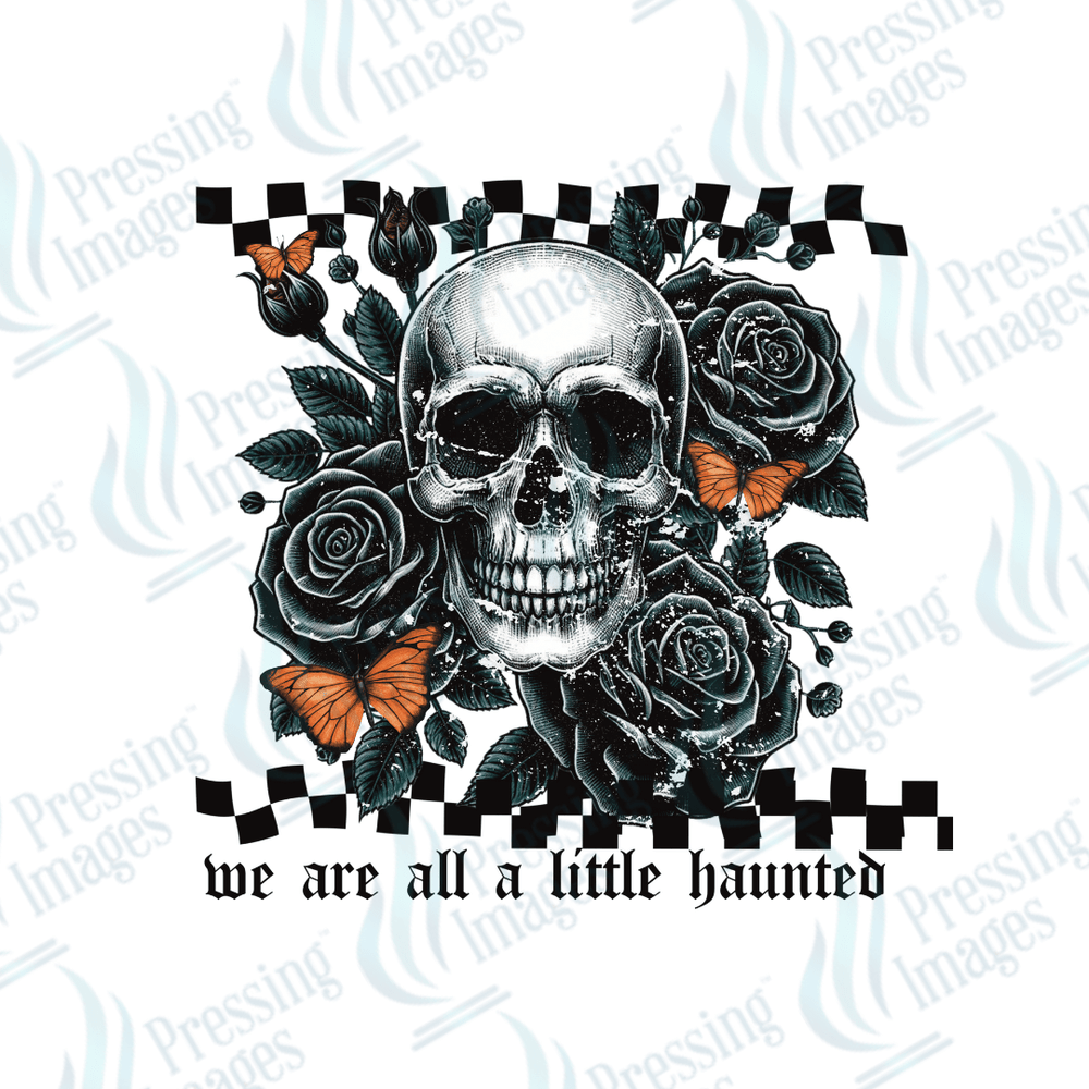 UVD 2773 We Are All A Little Haunted - Pressing Images