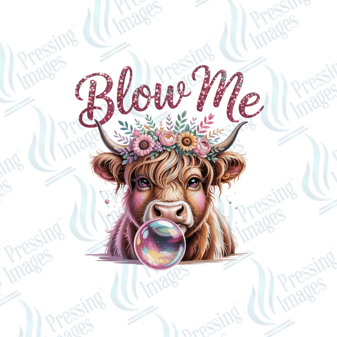 UVD 2781 Blow Me - Pressing Images