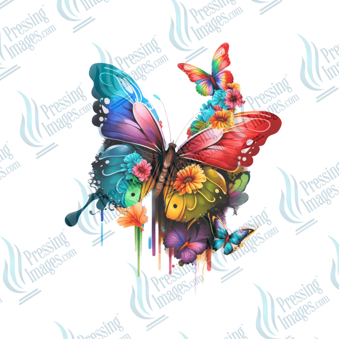 UVD 6448 Butterfly - Pressing Images