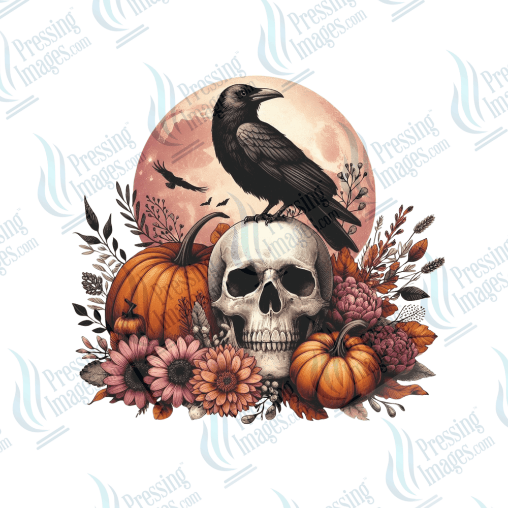 UVD 6473 Autumn Raven - Pressing Images