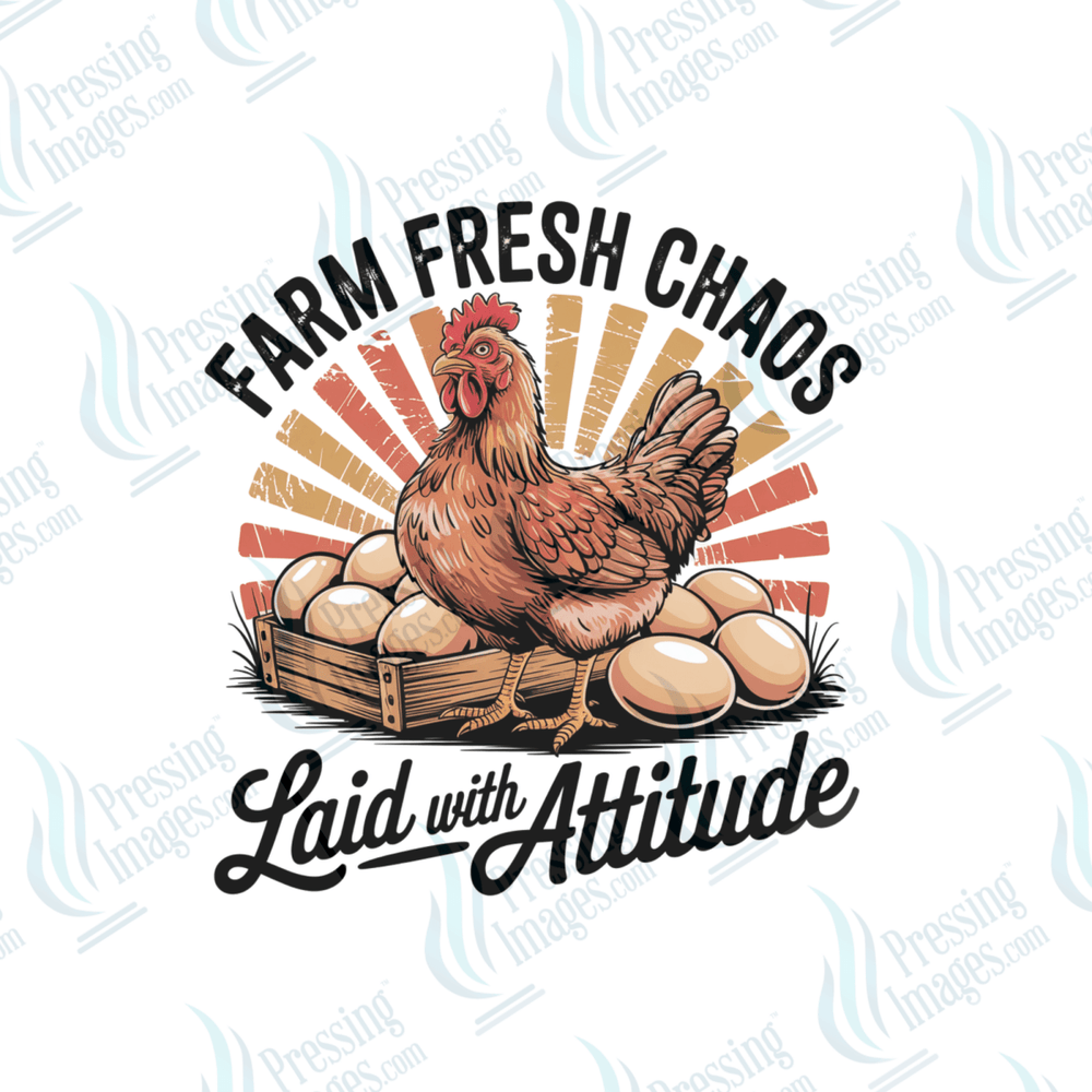 UVD 6493 Farm Fresh Eggs - Pressing Images