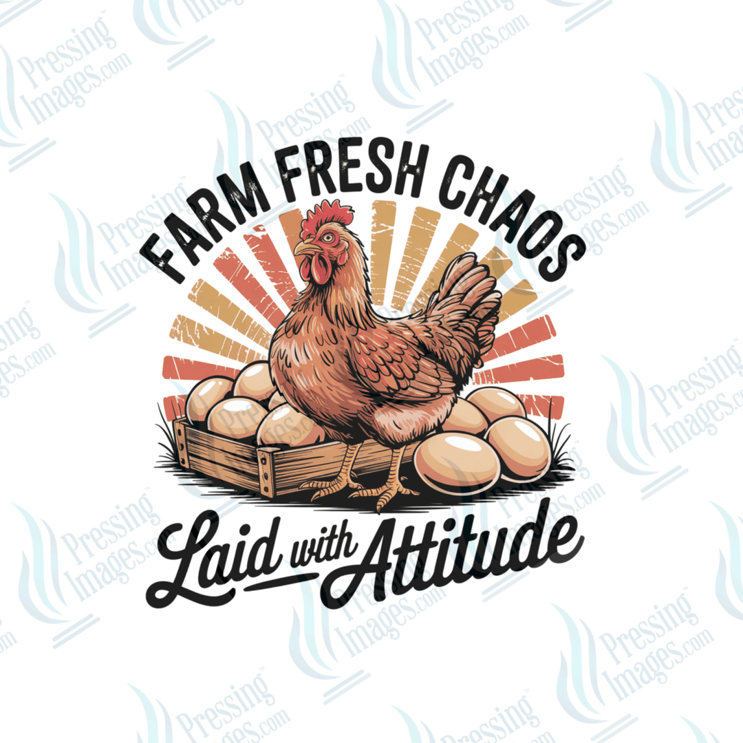 UVD 6493 Farm Fresh Eggs - Pressing Images