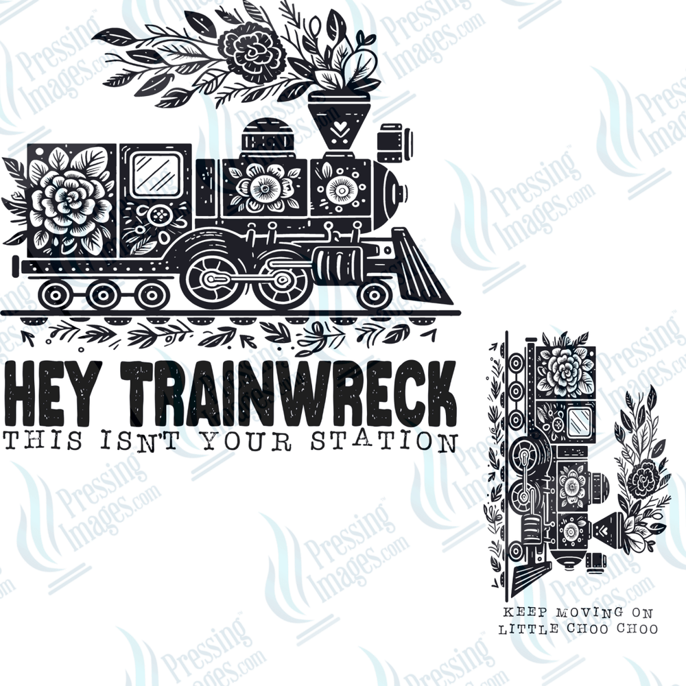 UVD 6564 Hey Trainwreck 2 pieces - Pressing Images