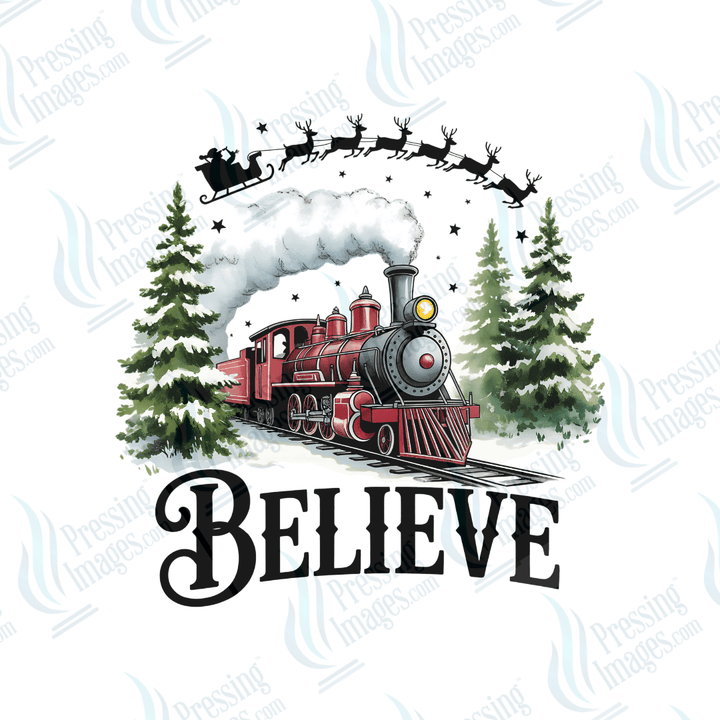 UVD 6625 Believe North Pole Train - Pressing Images