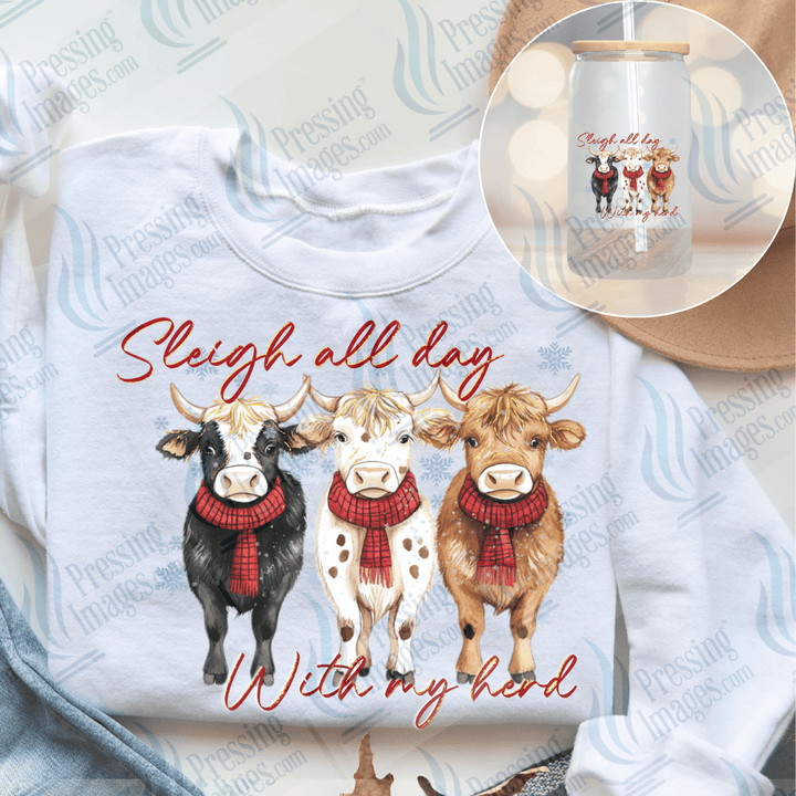 UVD 6633 Sleigh All Day - Pressing Images