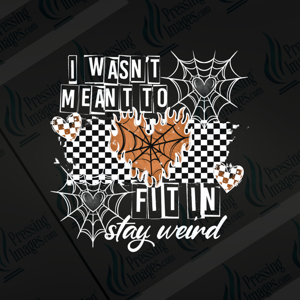 UVD 6641 I Wasn't Meant To Fit In - Pressing Images