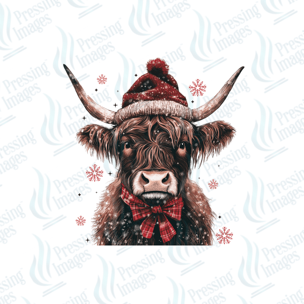 UVD 6678 Highland Christmas Cow - Pressing Images