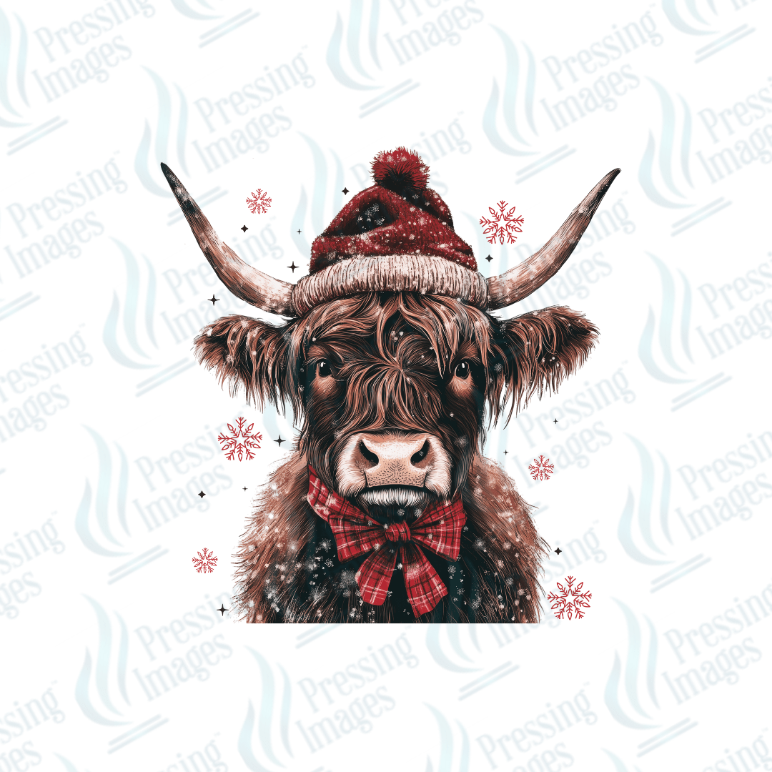 UVD 6678 Highland Christmas Cow - Pressing Images