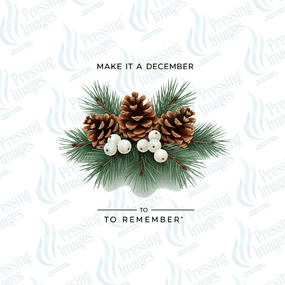 UVD 6694 Make It A December To Remember - Pressing Images