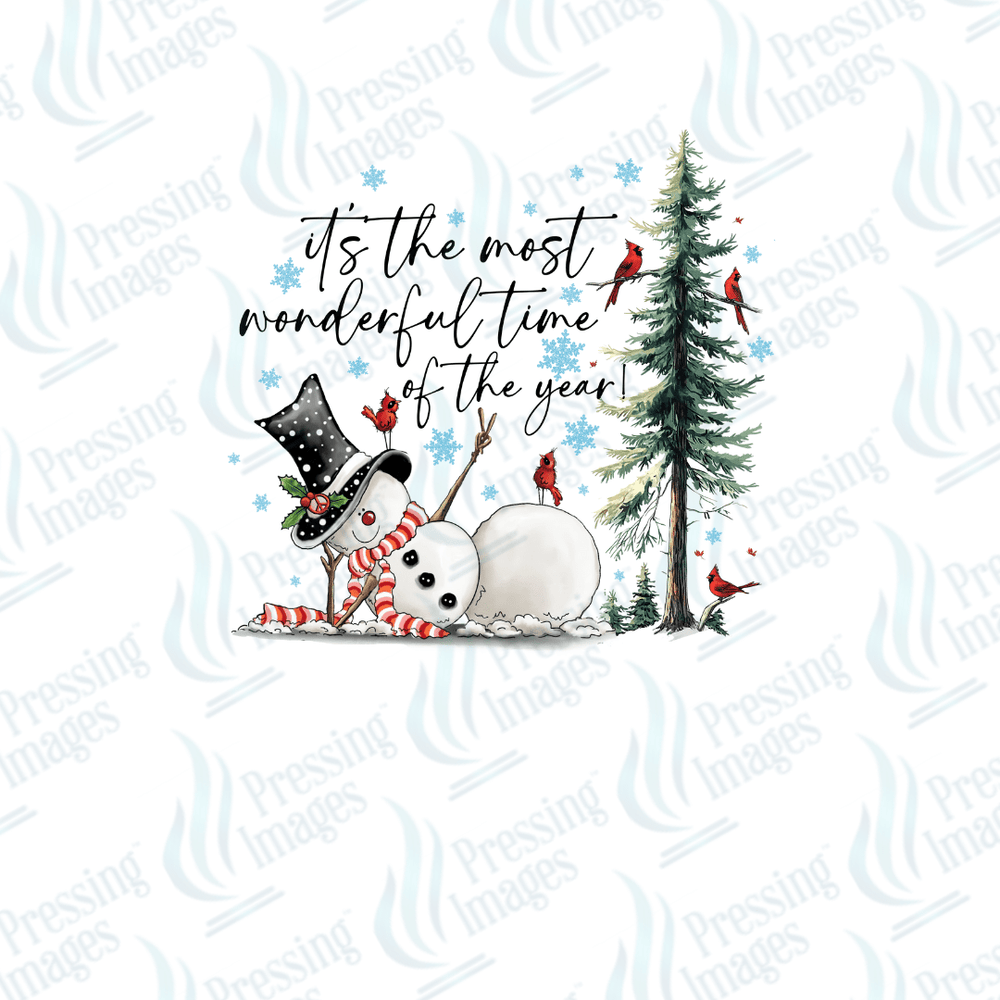 UVD 6696 It's The Most Wonderful Time Of The Year - Pressing Images