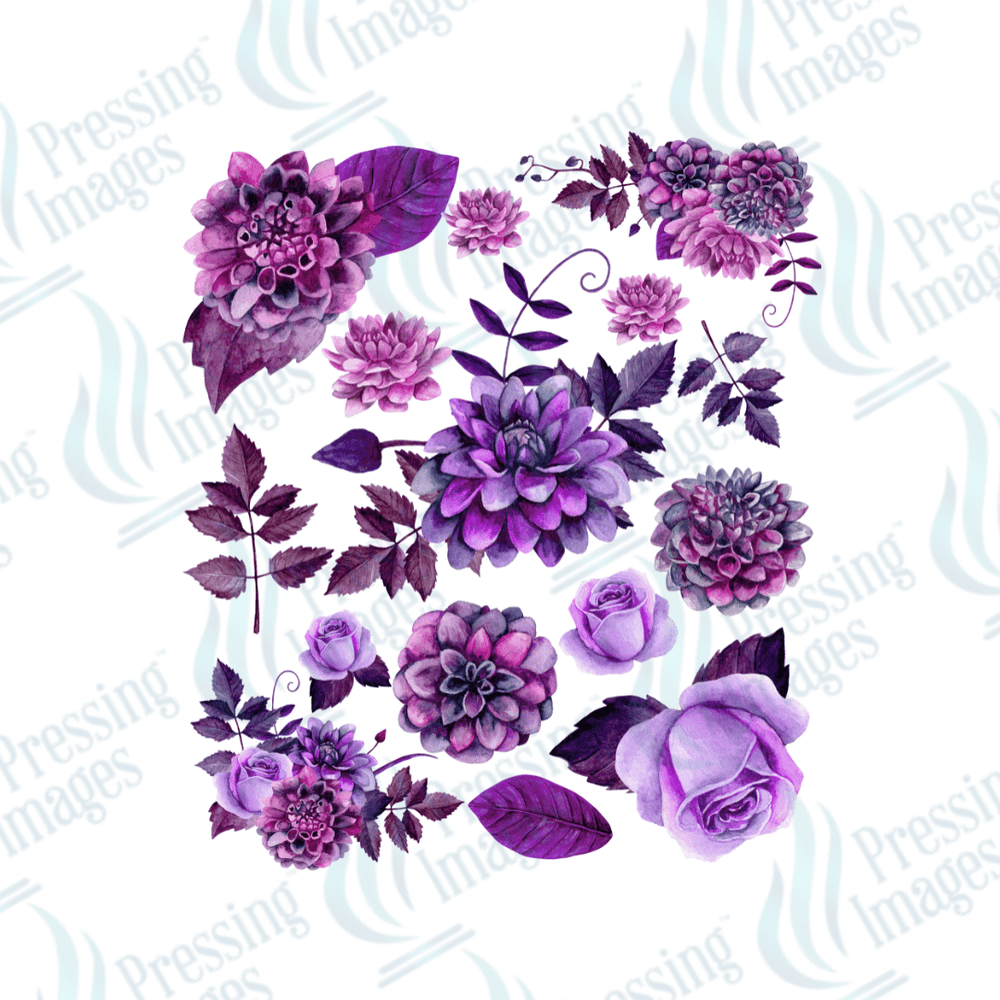 UVS 2023 Lavender One - Pressing Images