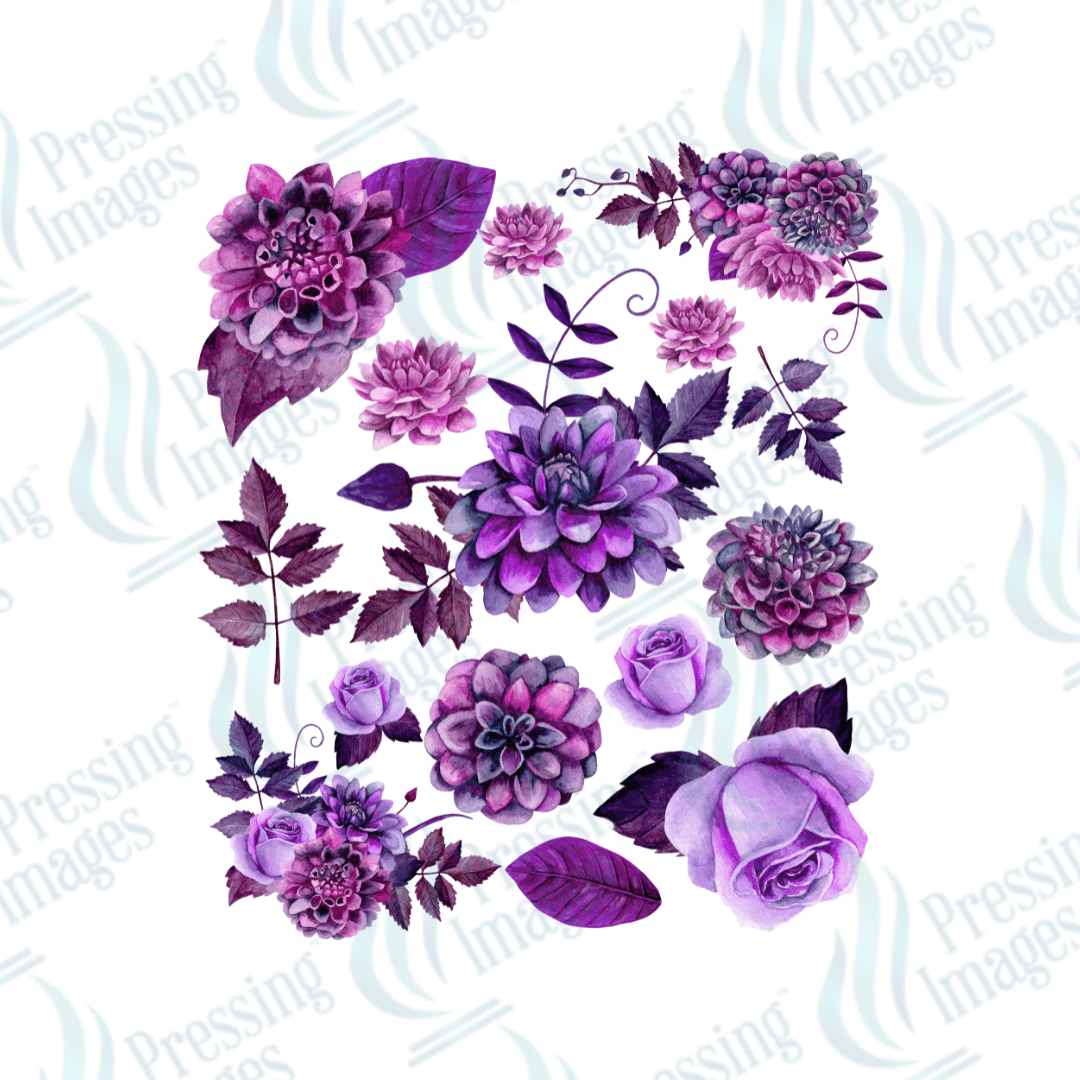 UVS 2023 Lavender One - Pressing Images