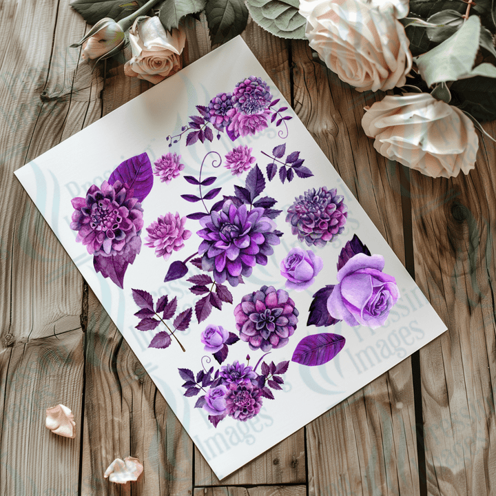 UVS 2023 Lavender One - Pressing Images