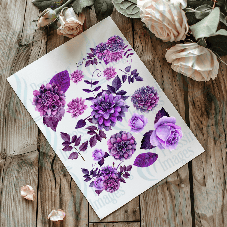 UVS 2023 Lavender One - Pressing Images