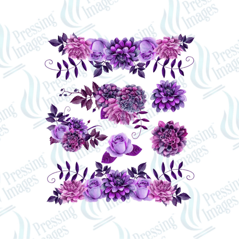 UVS 2024 Lavender Two - Pressing Images