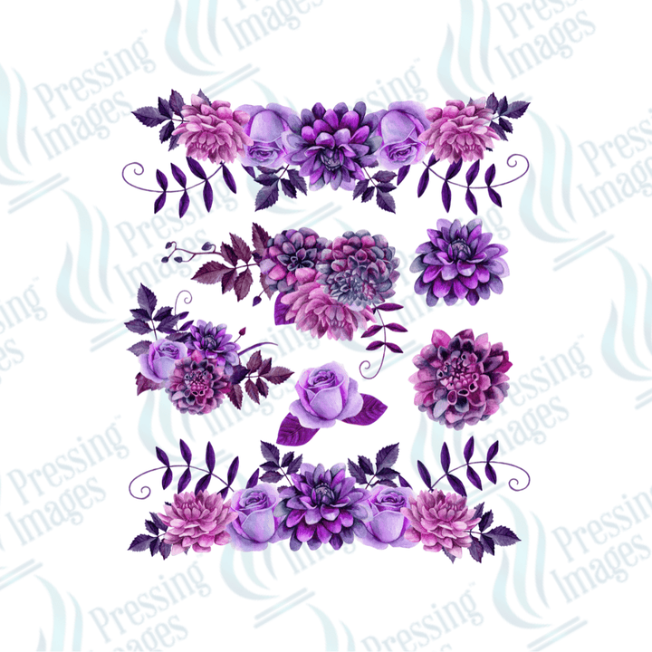 UVS 2024 Lavender Two - Pressing Images