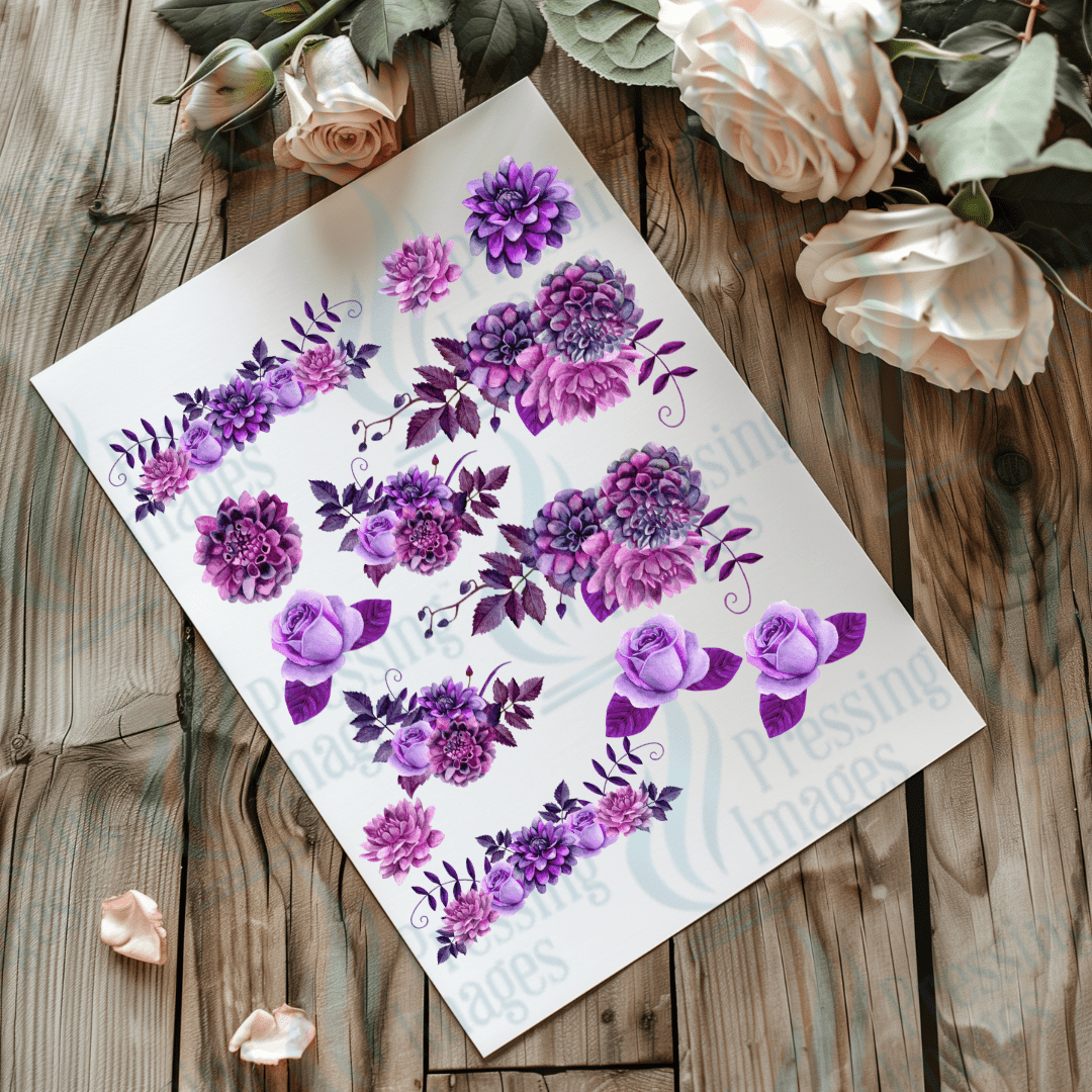 UVS 2025 Lavender Three - Pressing Images