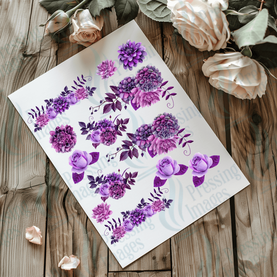 UVS 2025 Lavender Three - Pressing Images