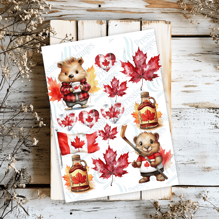 UVS 2181 Canadian Beavers - Pressing Images