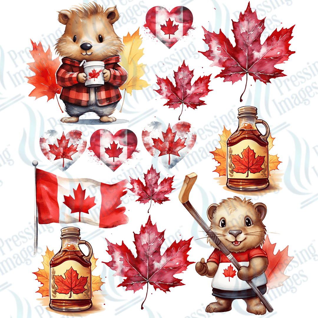 UVS 2181 Canadian Beavers - Pressing Images