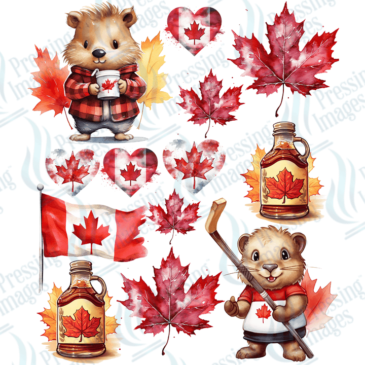 UVS 2181 Canadian Beavers - Pressing Images