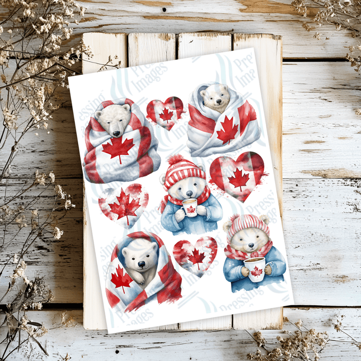 UVS 2183 Canada Polar Bears - Pressing Images