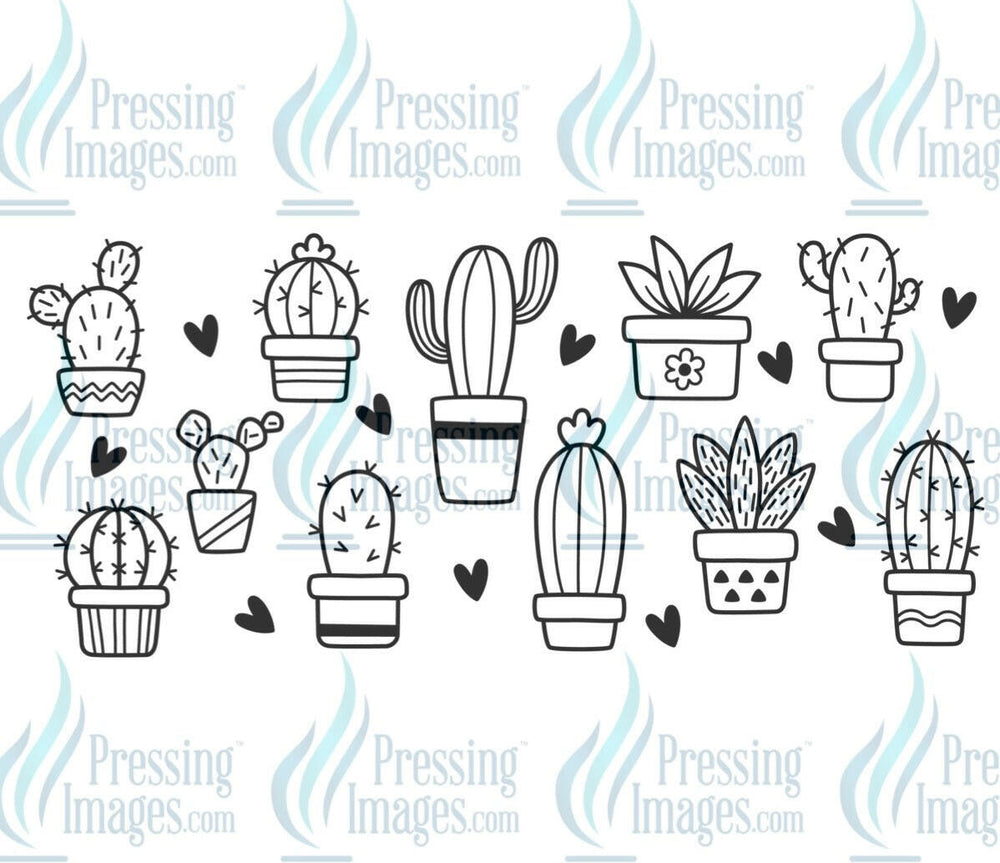 UVW 1127 Black cactus - Pressing Images