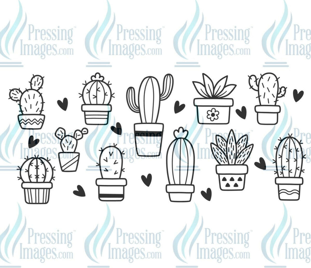UVW 1127 Black cactus - Pressing Images