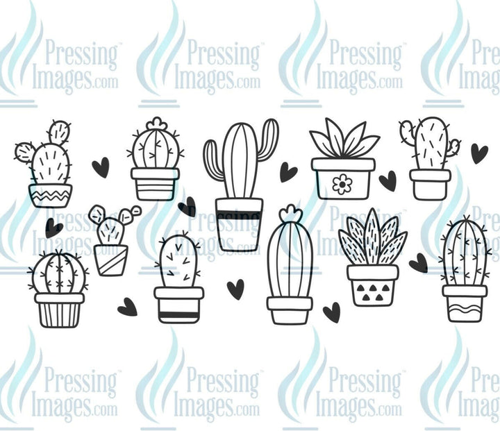 UVW 1127 Black cactus - Pressing Images