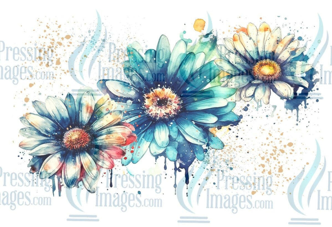 UVW 1260 Blue Daisy - Pressing Images
