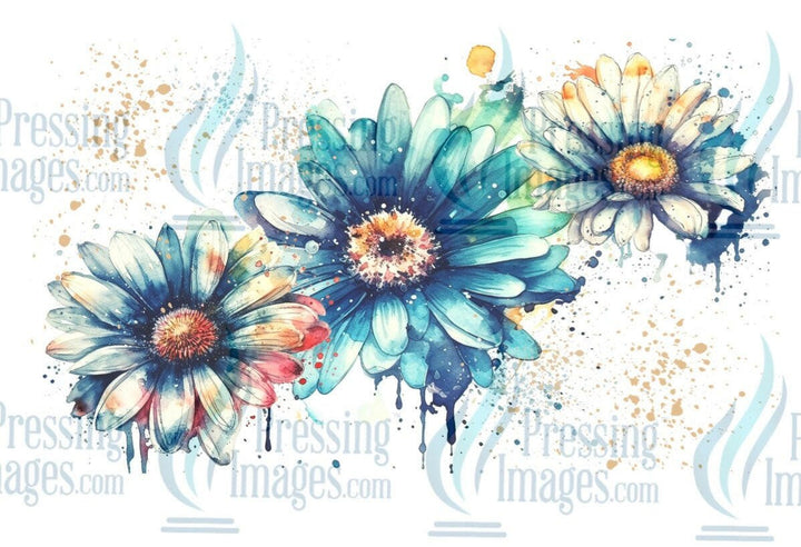 UVW 1260 Blue Daisy - Pressing Images