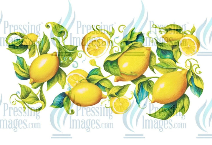 UVW 1279 Lemons - Pressing Images