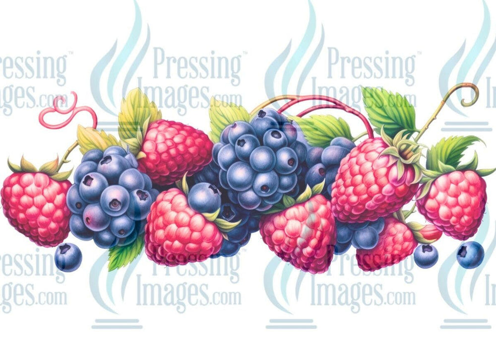 UVW 1282 Berries - Pressing Images