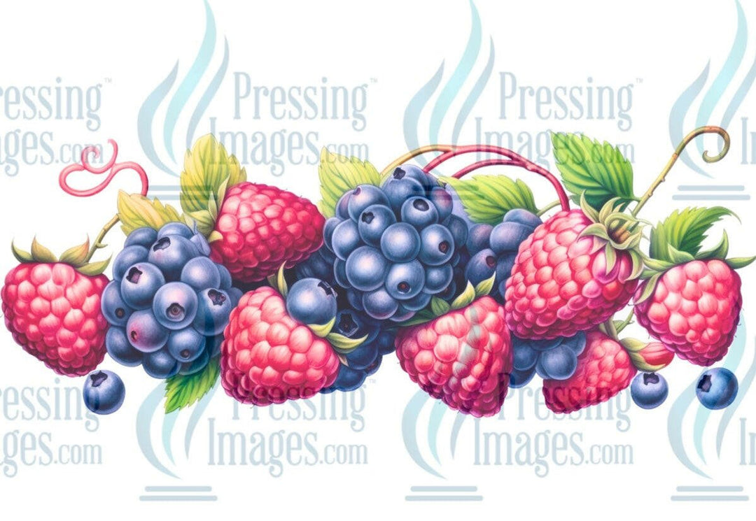 UVW 1282 Berries - Pressing Images