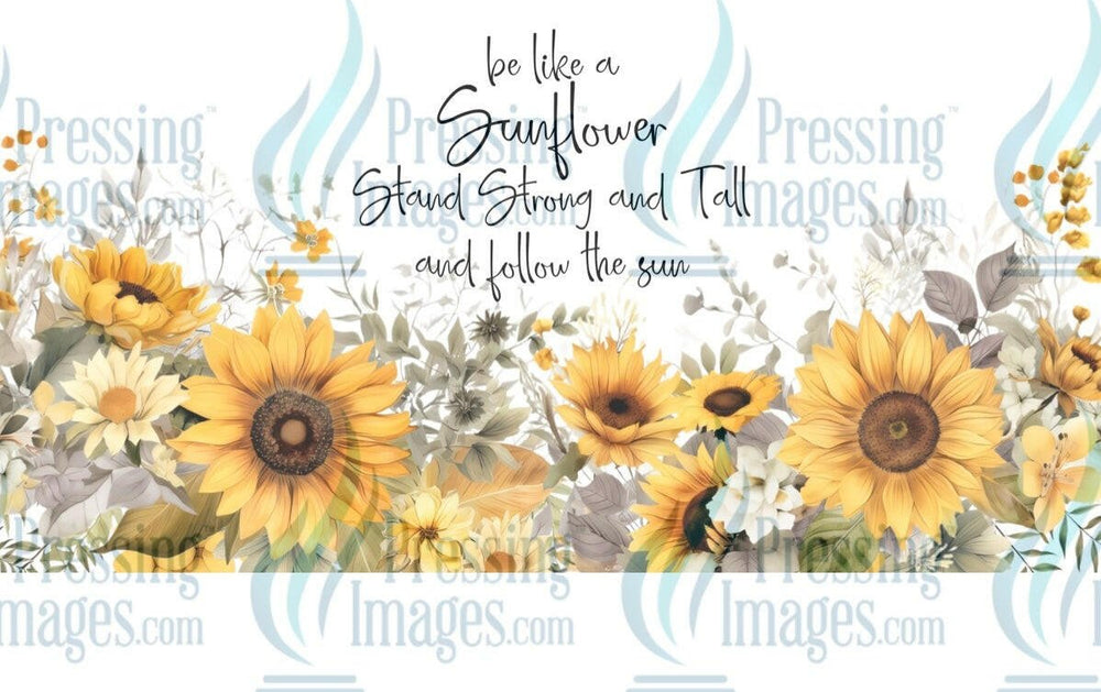 UVW 1316 Be like a sunflower - Pressing Images