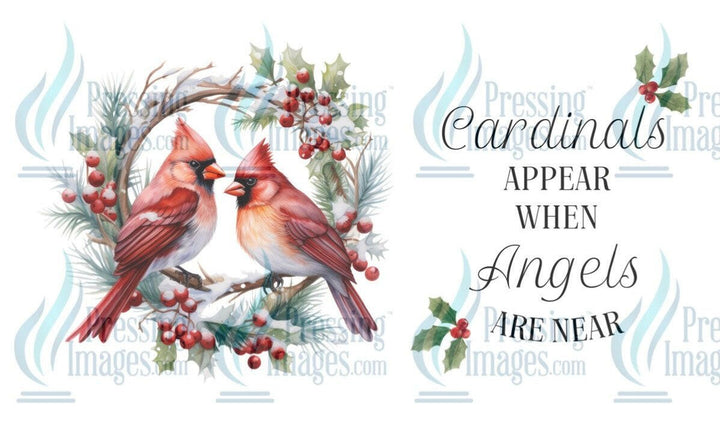 UVW 1317 Cardinals appear - Pressing Images