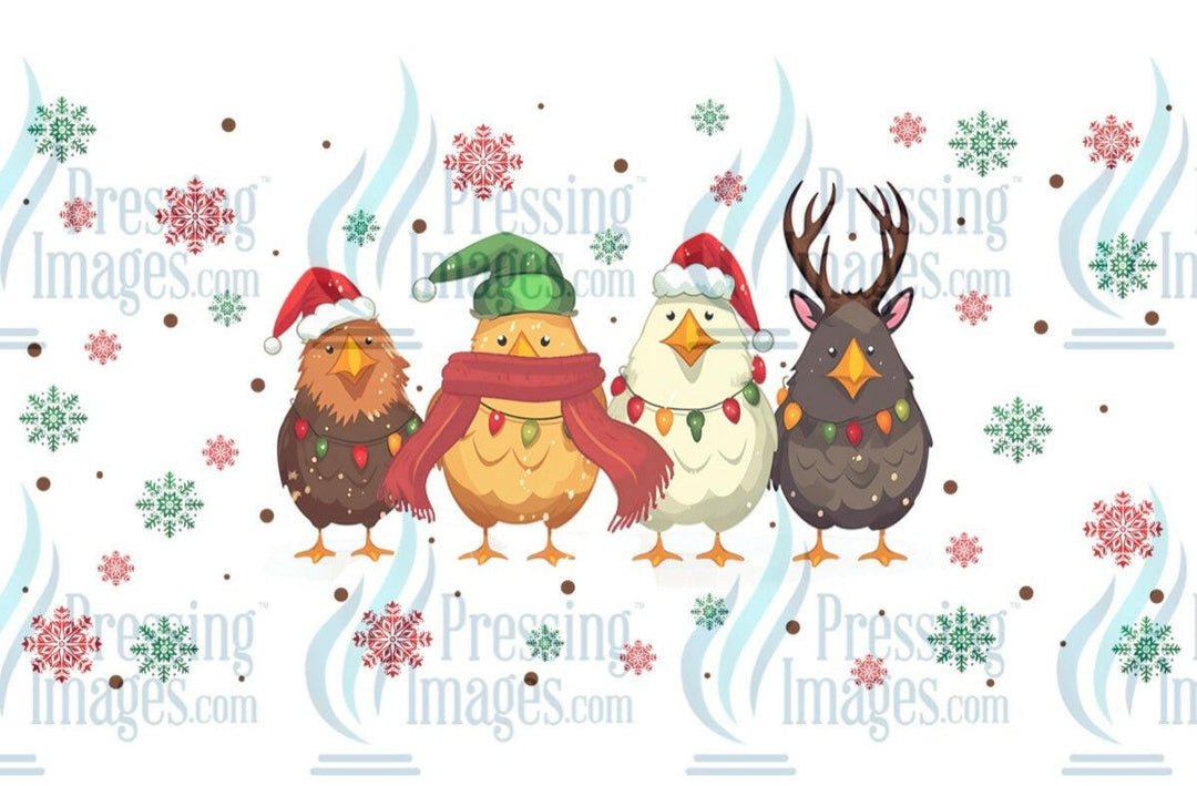 UVW 1323 winter chickens - Pressing Images
