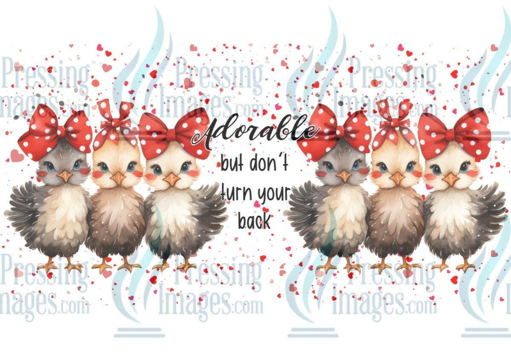 UVW 1327 Adorable chickens - Pressing Images