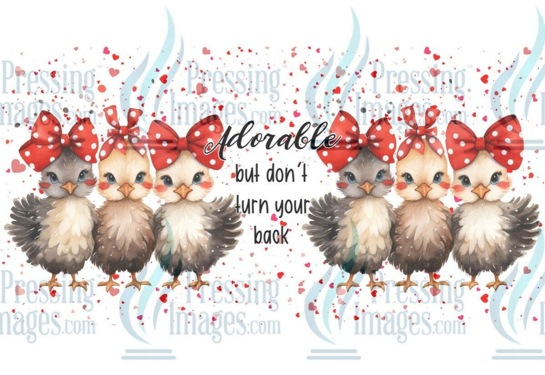 UVW 1327 Adorable chickens - Pressing Images