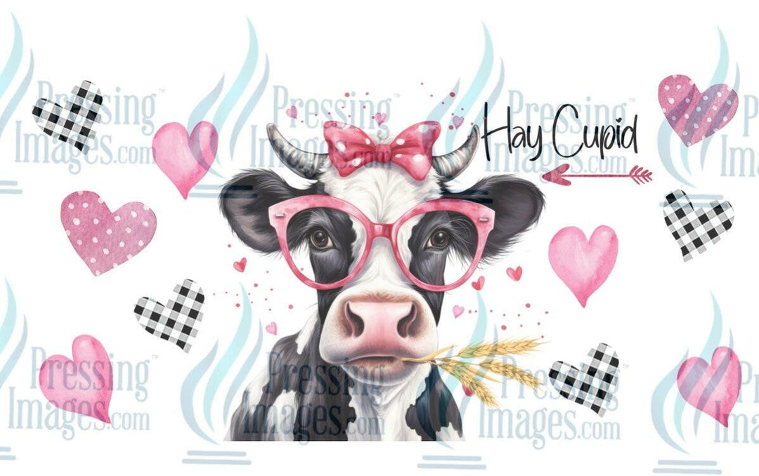 UVW 1328 Hay Cupid - Pressing Images