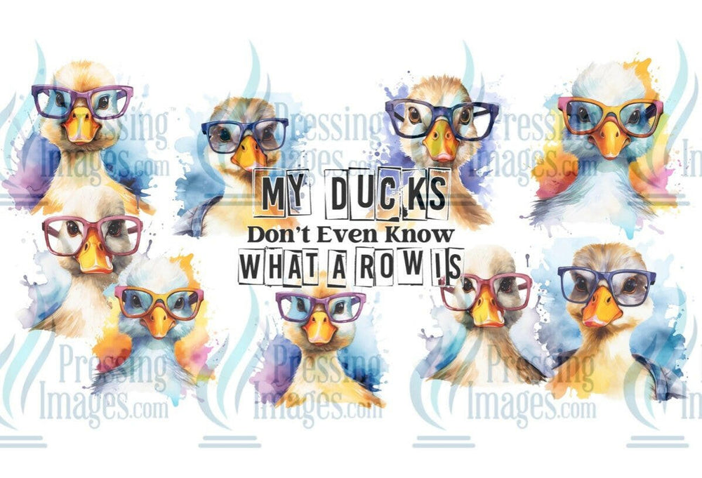 UVW 1329 My ducks don’t even know what a row is - Pressing Images