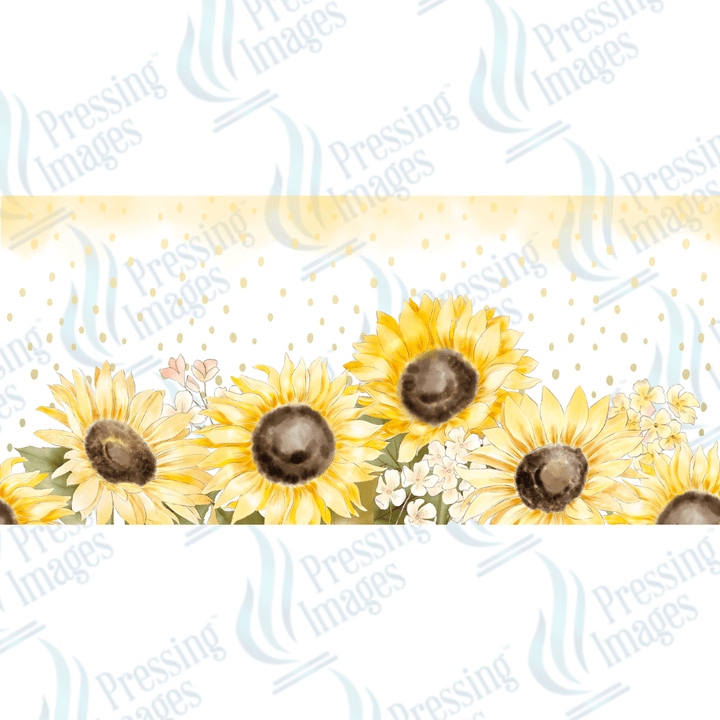 UVW 1348 Sunflowers with white - Pressing Images