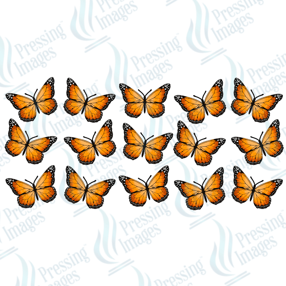 UVW 1421 Monarch - Pressing Images