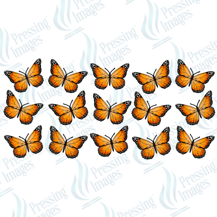 UVW 1421 Monarch - Pressing Images
