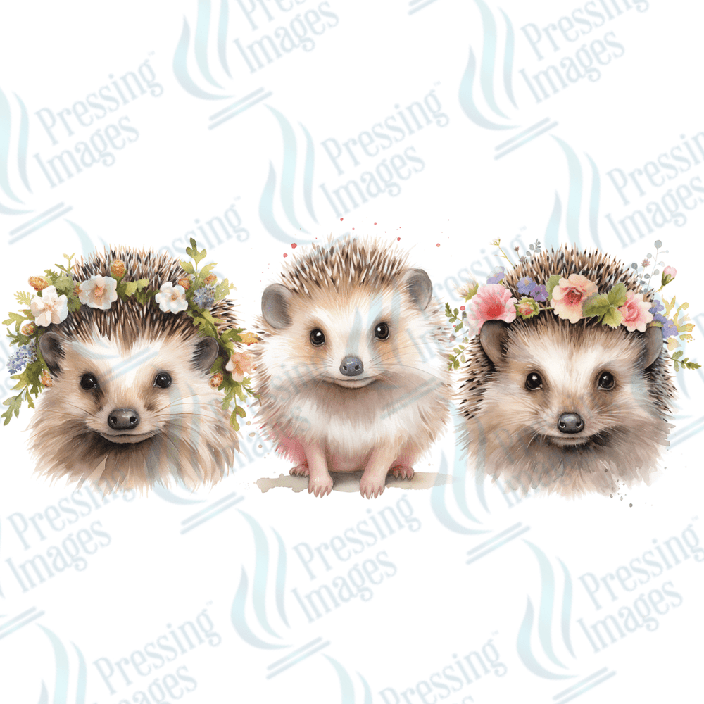 UVW 1561 Hedgehog - Pressing Images