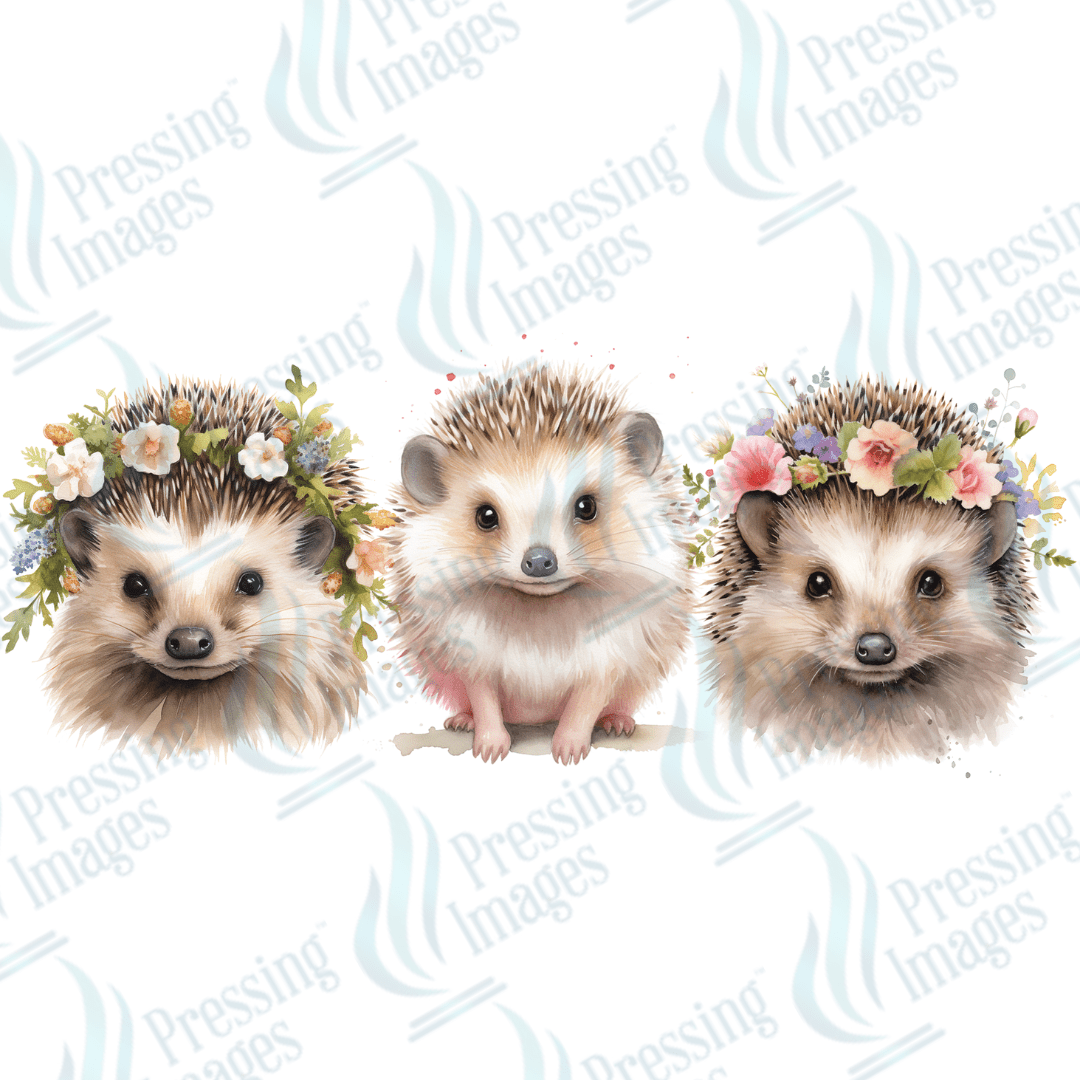 UVW 1561 Hedgehog - Pressing Images