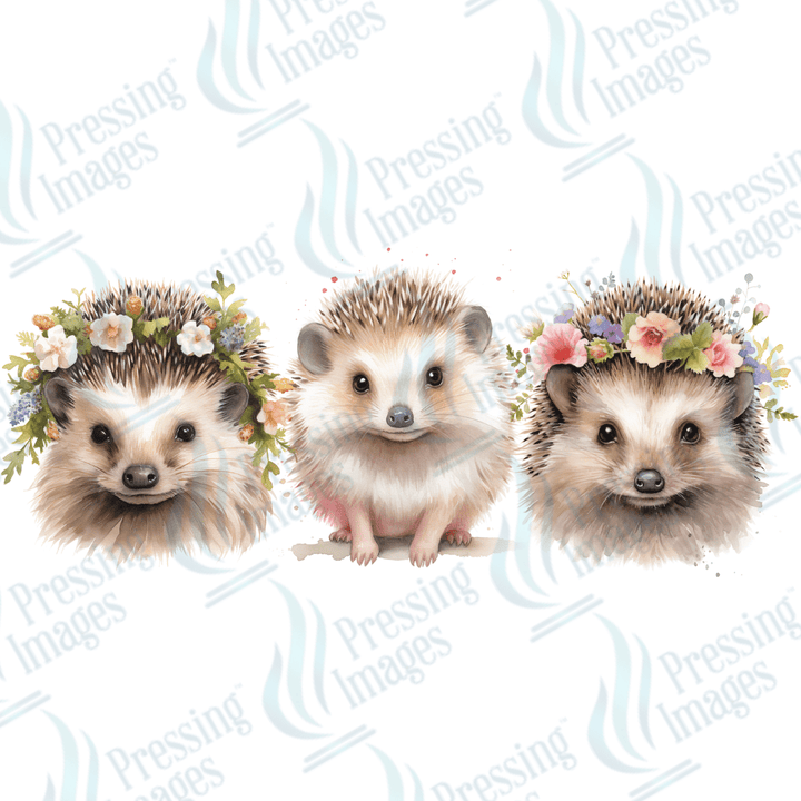 UVW 1561 Hedgehog - Pressing Images